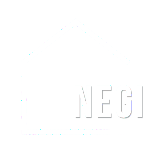 negi (2) trans